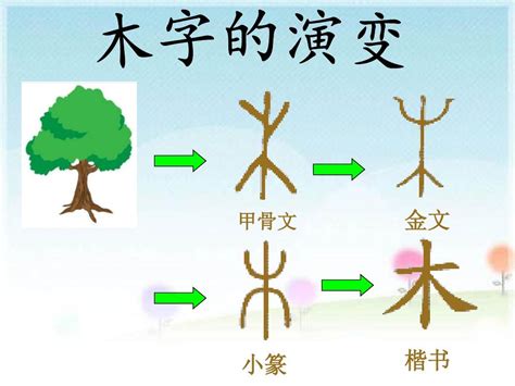 木象|木字旁右边加一个象字念什么？